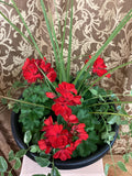 Geranium
