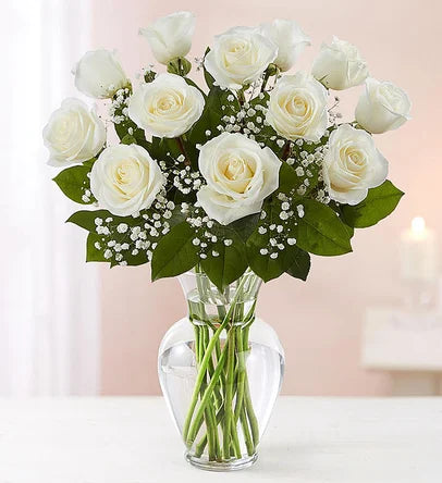 12 long stem white roses in a vase
