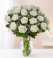 24 Long Stem White roses in a vase