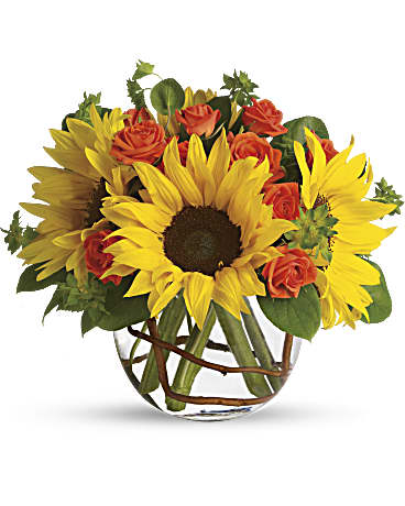 Sunny Sunflowers (P213)